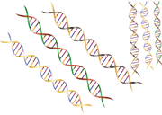 遺伝子検査キットの選び方