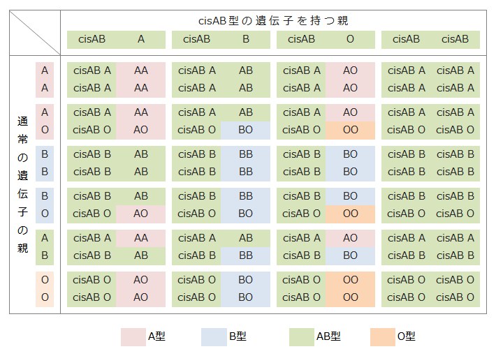 cisAB型での血液型組み合わせ表