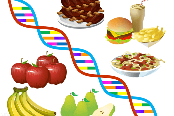 肥満遺伝子と遺伝子検査ダイエット