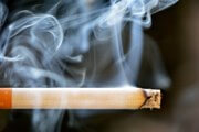 タバコ、ニコチン依存に関わる遺伝子と肺がんリスク