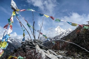 ハプログループM10