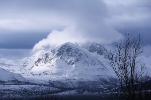 ハプログループZ