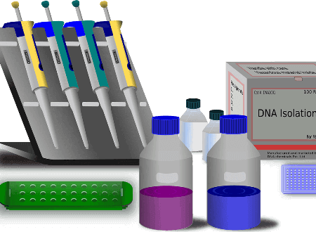 遺伝子検査キットの選び方と比較ポイント